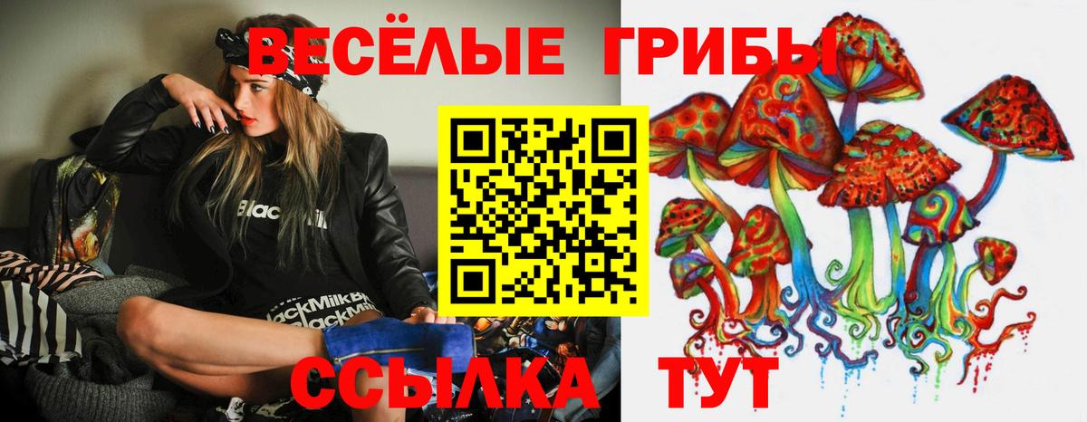 Псилоцибиновые грибы Psilocybine cubensis Ахтубинск