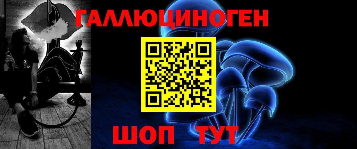 Ахтубинск  Псилоцибиновые грибы Psilocybine cubensis  Вход с VPN 